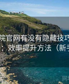 蜂鸟影院官网有没有隐藏技巧常见问题汇总：效率提升方法（新手必看）