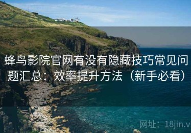 蜂鸟影院官网有没有隐藏技巧常见问题汇总：效率提升方法（新手必看）