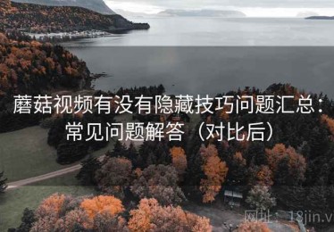 蘑菇视频有没有隐藏技巧问题汇总：常见问题解答（对比后）