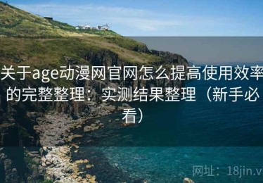 关于age动漫网官网怎么提高使用效率的完整整理：实测结果整理（新手必看）