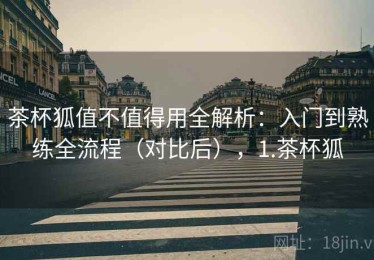 茶杯狐值不值得用全解析：入门到熟练全流程（对比后），1.茶杯狐