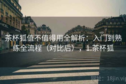 茶杯狐值不值得用全解析：入门到熟练全流程（对比后），1.茶杯狐