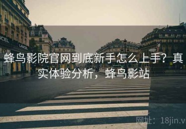 蜂鸟影院官网到底新手怎么上手？真实体验分析，蜂鸟影站