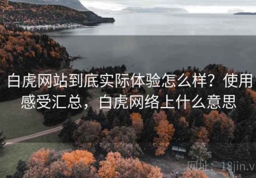 白虎网站到底实际体验怎么样？使用感受汇总，白虎网络上什么意思