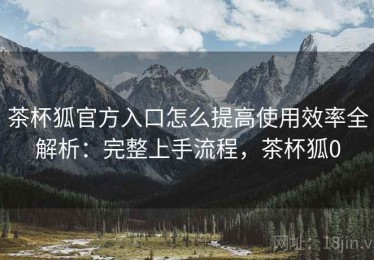 茶杯狐官方入口怎么提高使用效率全解析：完整上手流程，茶杯狐0