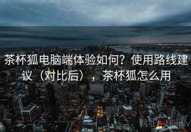 茶杯狐电脑端体验如何？使用路线建议（对比后），茶杯狐怎么用
