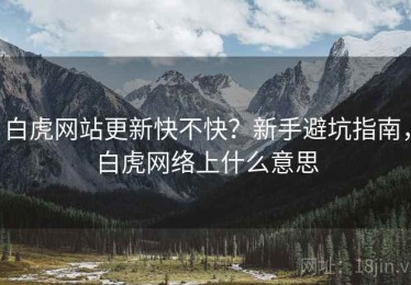 白虎网站更新快不快？新手避坑指南，白虎网络上什么意思