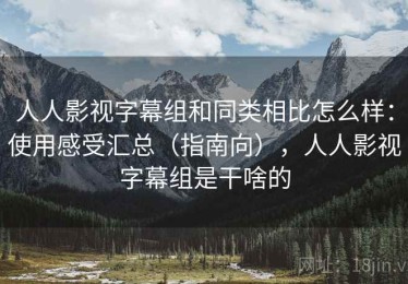 人人影视字幕组和同类相比怎么样：使用感受汇总（指南向），人人影视字幕组是干啥的
