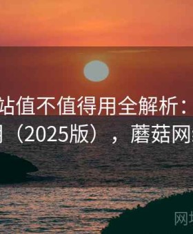 蘑菇网站值不值得用全解析：详细使用说明（2025版），蘑菇网络官网
