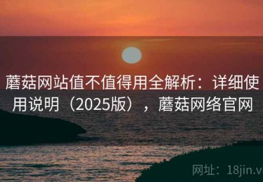 蘑菇网站值不值得用全解析：详细使用说明（2025版），蘑菇网络官网