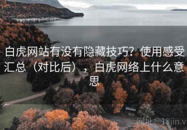 白虎网站有没有隐藏技巧？使用感受汇总（对比后），白虎网络上什么意思