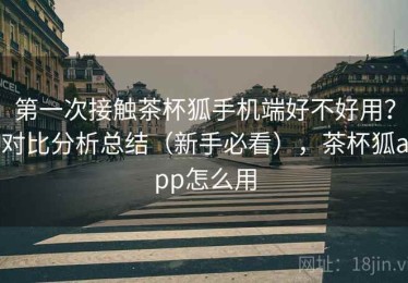 第一次接触茶杯狐手机端好不好用？对比分析总结（新手必看），茶杯狐app怎么用