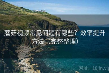蘑菇视频常见问题有哪些？效率提升方法（完整整理）