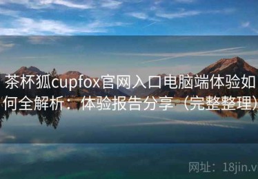 茶杯狐cupfox官网入口电脑端体验如何全解析：体验报告分享（完整整理）