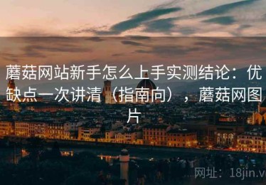 蘑菇网站新手怎么上手实测结论：优缺点一次讲清（指南向），蘑菇网图片