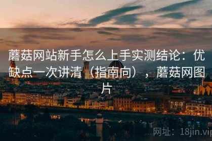 蘑菇网站新手怎么上手实测结论：优缺点一次讲清（指南向），蘑菇网图片