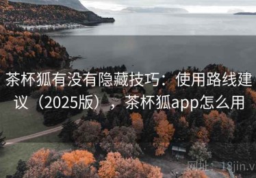 茶杯狐有没有隐藏技巧：使用路线建议（2025版），茶杯狐app怎么用