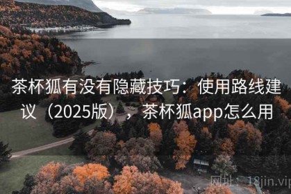 茶杯狐有没有隐藏技巧：使用路线建议（2025版），茶杯狐app怎么用