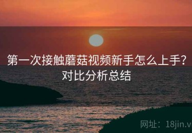 第一次接触蘑菇视频新手怎么上手？对比分析总结