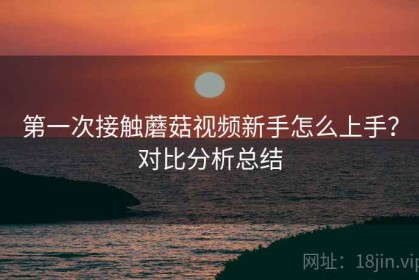 第一次接触蘑菇视频新手怎么上手？对比分析总结