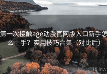 第一次接触age动漫官网版入口新手怎么上手？实用技巧合集（对比后）