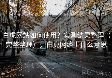 白虎网站如何使用？实测结果整理（完整整理），白虎网络上什么意思