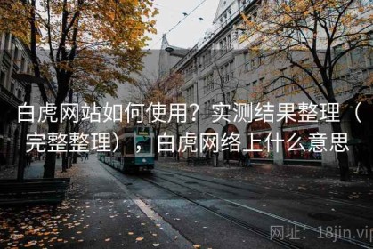 白虎网站如何使用？实测结果整理（完整整理），白虎网络上什么意思
