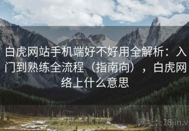 白虎网站手机端好不好用全解析：入门到熟练全流程（指南向），白虎网络上什么意思
