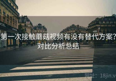 第一次接触蘑菇视频有没有替代方案？对比分析总结
