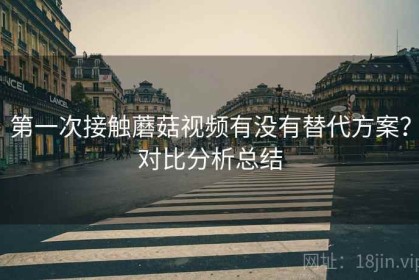 第一次接触蘑菇视频有没有替代方案？对比分析总结