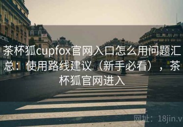 茶杯狐cupfox官网入口怎么用问题汇总：使用路线建议（新手必看），茶杯狐官网进入