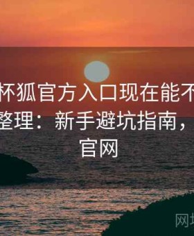 关于茶杯狐官方入口现在能不能访问的完整整理：新手避坑指南，茶杯狐 官网