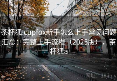 茶杯狐 cupfox新手怎么上手常见问题汇总：完整上手流程（2025版），茶杯狐a