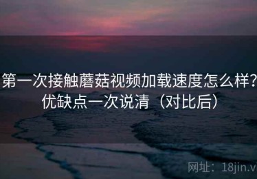 第一次接触蘑菇视频加载速度怎么样？优缺点一次说清（对比后）