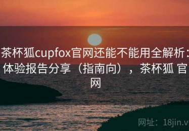茶杯狐cupfox官网还能不能用全解析：体验报告分享（指南向），茶杯狐 官网