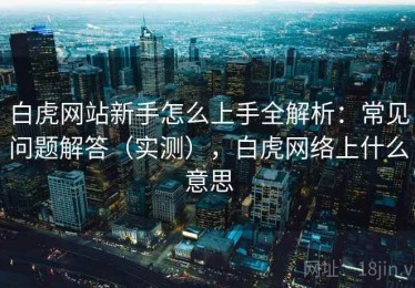 白虎网站新手怎么上手全解析：常见问题解答（实测），白虎网络上什么意思