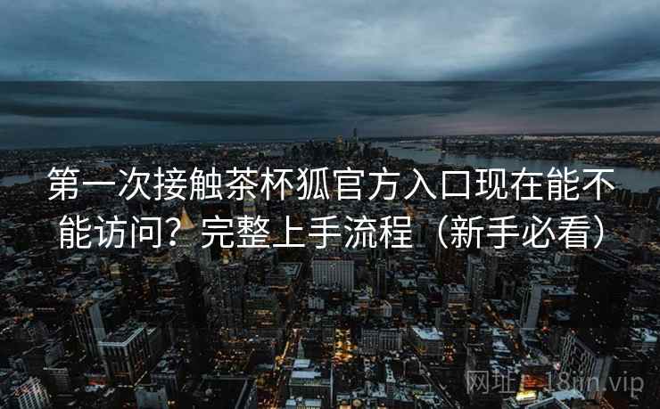第一次接触茶杯狐官方入口现在能不能访问？完整上手流程（新手必看）