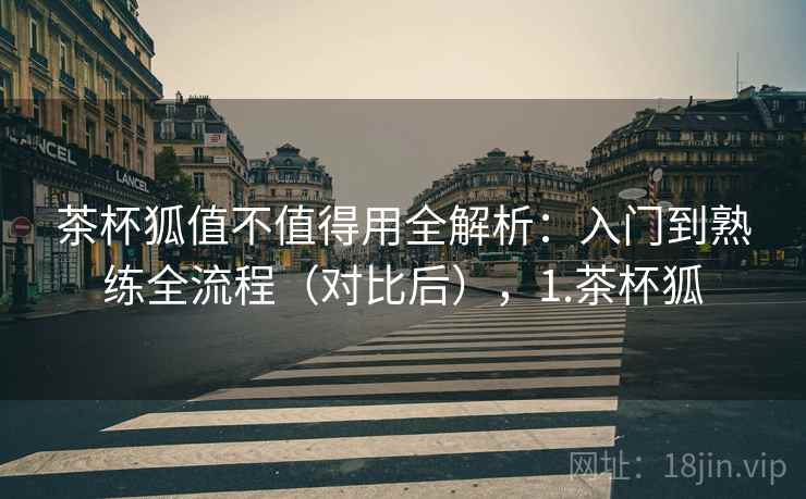 茶杯狐值不值得用全解析：入门到熟练全流程（对比后），1.茶杯狐