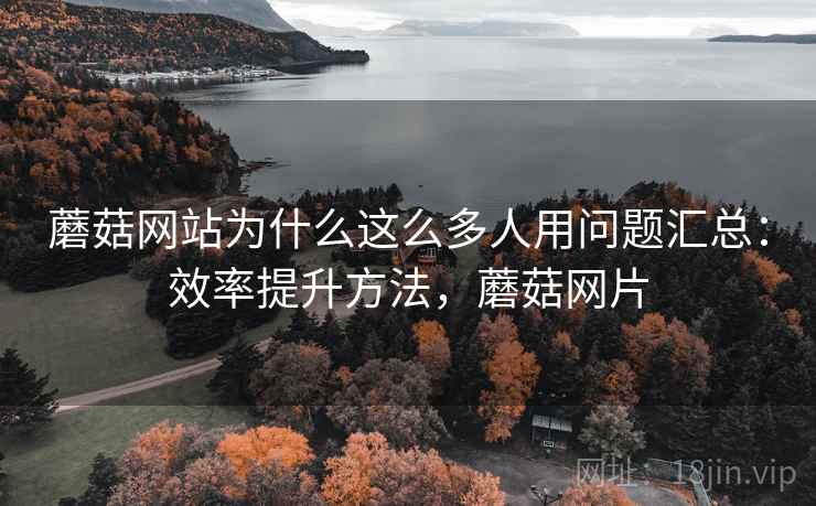 蘑菇网站为什么这么多人用问题汇总:效率提升方法,蘑菇网片 蘑菇网站为什么这么多人用问题汇总:效率提升方法,蘑菇网片