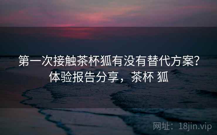 第一次接触茶杯狐有没有替代方案？体验报告分享，茶杯 狐