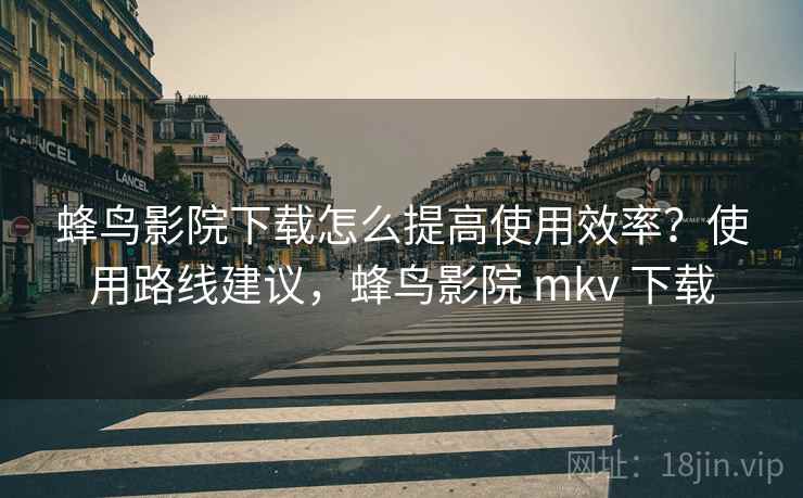 蜂鸟影院下载怎么提高使用效率？使用路线建议，蜂鸟影院 mkv 下载