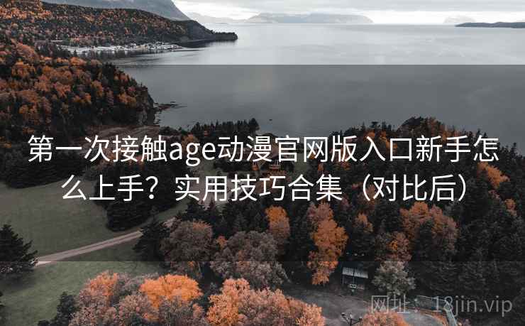 第一次接触age动漫官网版入口新手怎么上手？实用技巧合集（对比后）