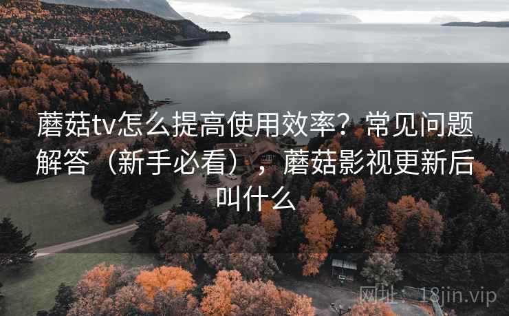 蘑菇tv怎么提高使用效率?常见问题解答(新手必看),蘑菇影视更新后叫什么 蘑菇tv怎么提高使用效率?常见问题解答(新手必看),蘑菇影视更新后叫什么